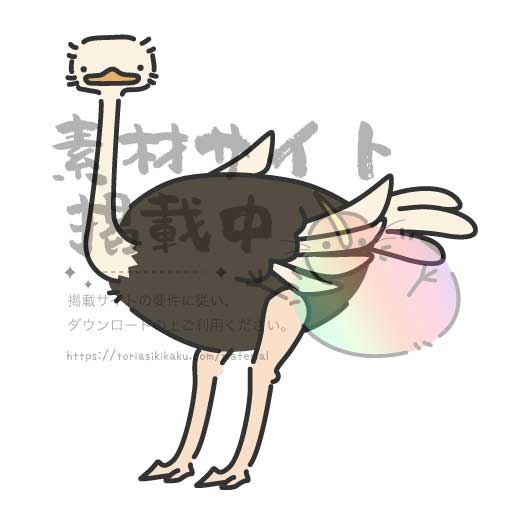 かわいいダチョウ